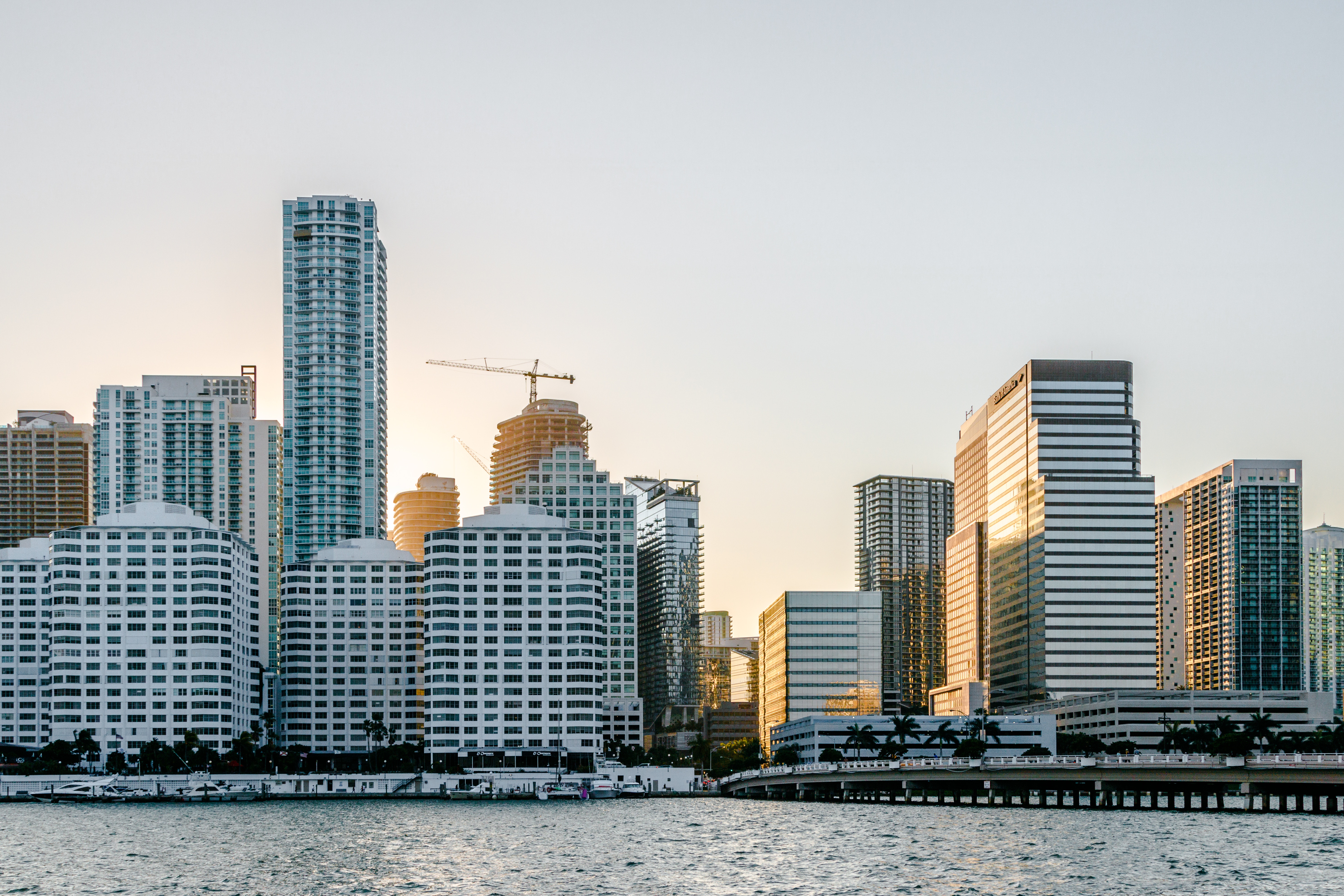 Photo by Gaetano Cessati on Unsplash https://unsplash.com/search/miami?photo=ssguzho__K8