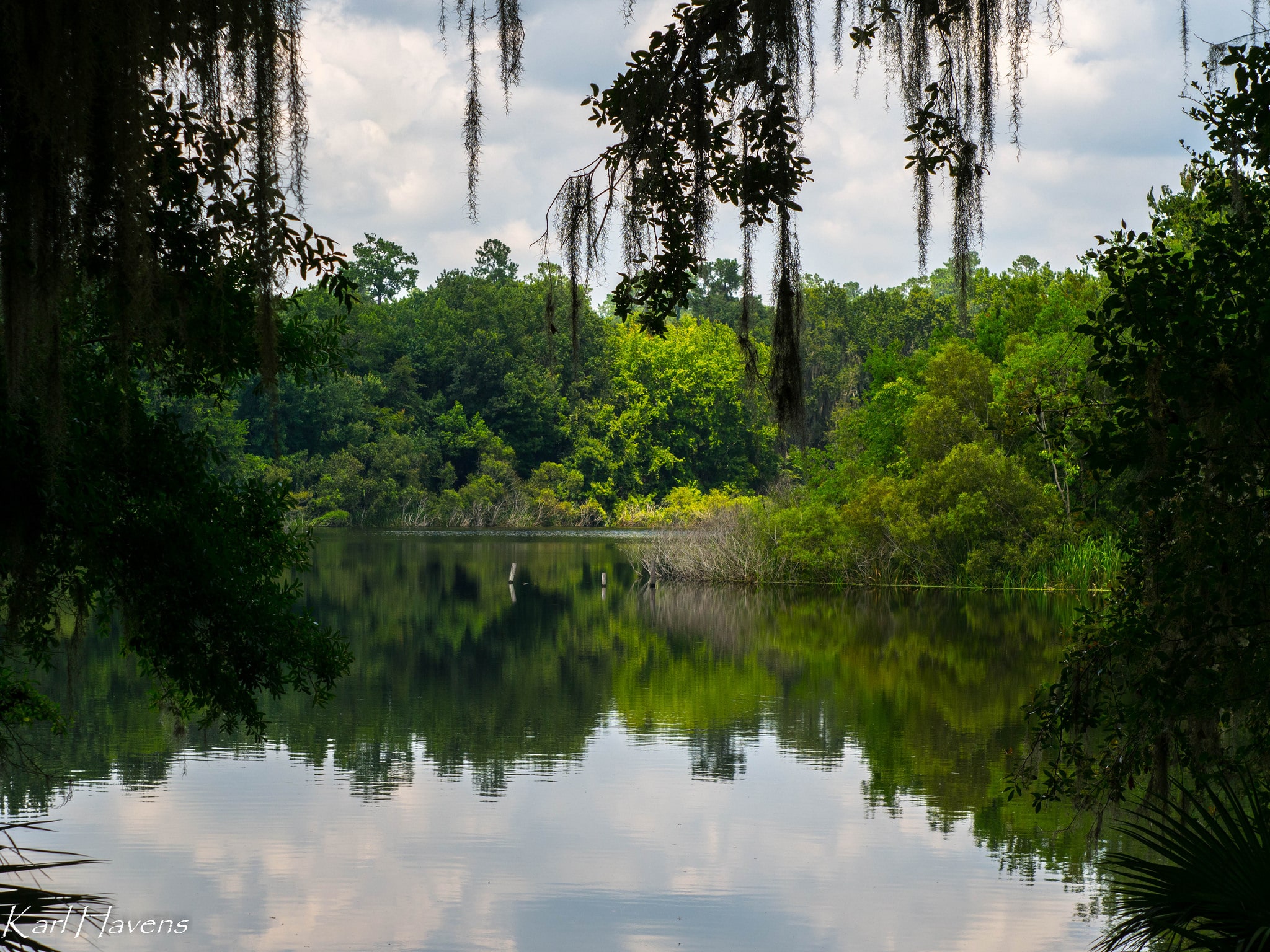 "Havens Lake Alice Zeiss Tessarr" Florida Sea Grant CC BY-NC-ND 2.0 https://goo.gl/6Cg2S6