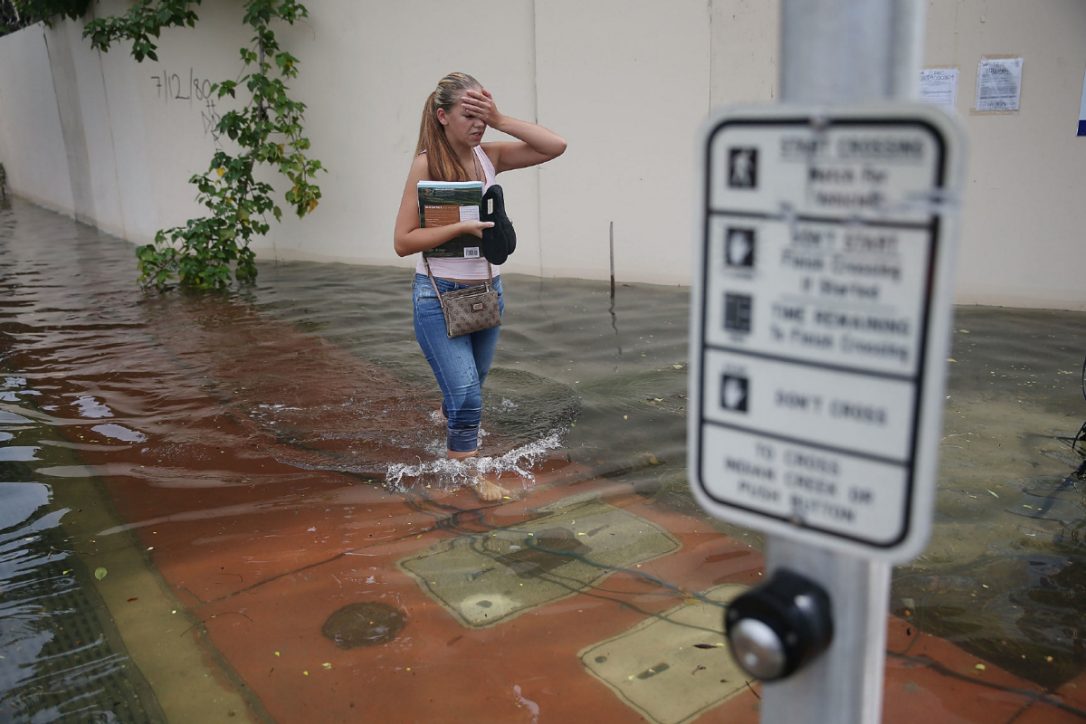 How Miami Beach Is Trying To Save Itself Southeast Florida How Miami Beach Is Trying To Save Itself